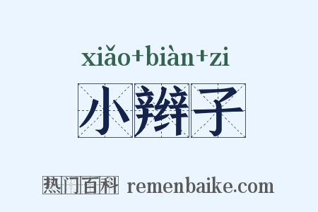 小辫子是什么意思的图片